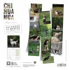 CALENDRIER chien 2025 CHIHUAHUA MARTIN SELLIER